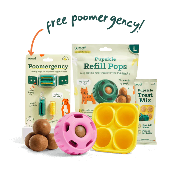 Pupsicle Play Pack - Image 3