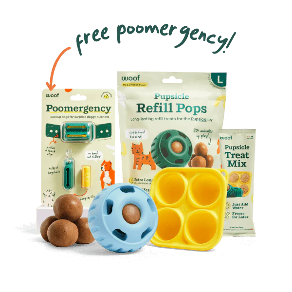 Pupsicle Play Pack - Image 4