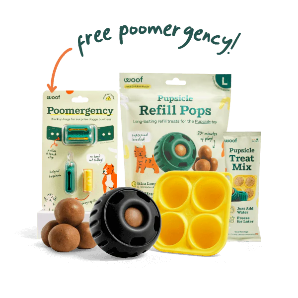 Pupsicle Play Pack - Image 5