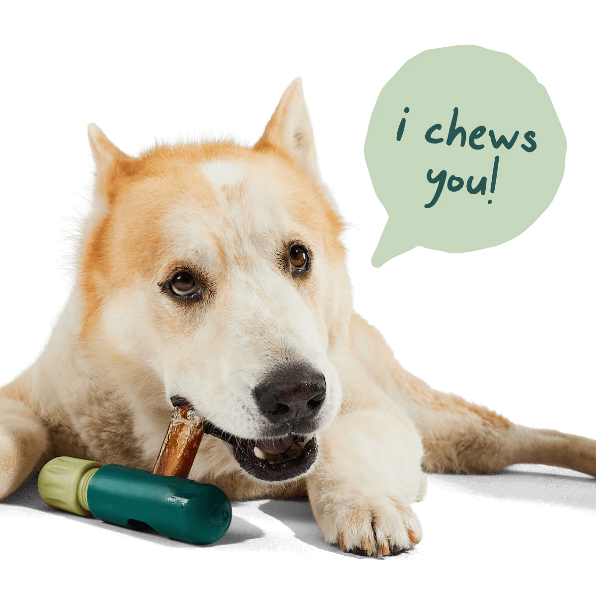 The BullySafe Better Pack - Image 6